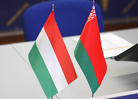 Belarus, Hungary to expand cooperation in poultry farming