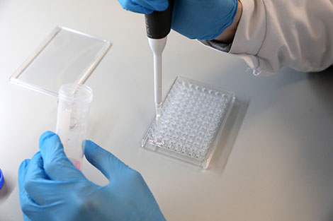 Production of coronavirus test kits launched in Vitebsk