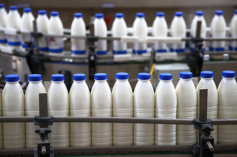 Minister: Belarus ensures its food security, becomes large agricultural exporter