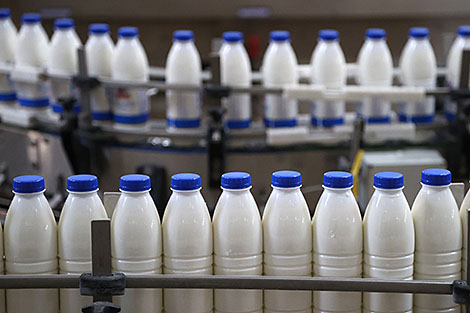 Belarus gets green light for dairy trade in Algeria