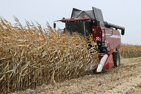 Belarus’ Gomselmash to supply harvesters to Russia’s Bashkortostan