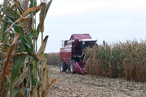 Lukashenko happy with performance of Belarus' agricultural industry in 2020