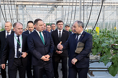 Belarus to step up vegetable greenhouse production