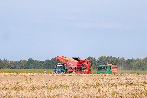 Lukashenko demands to improve farming standards