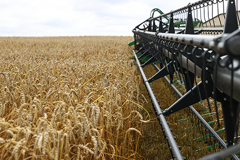 Lukashenko names issues facing regions during spring planting