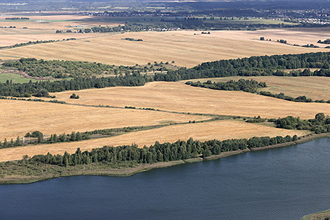 Lukashenko calls to prioritize farming standards in agriculture