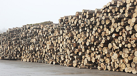 Belarus seeks to add value to its woodworking industry