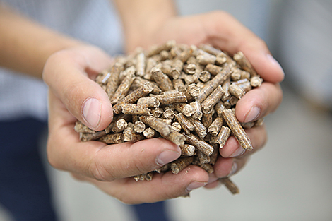 Plans to sell Belarusian wood pellets to Europe