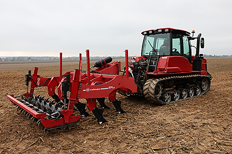 Lukashenko briefed on practices to minimize impact of waterlogging on crops