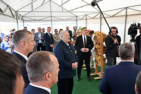 Lukashenko praises farmers’ good work this year