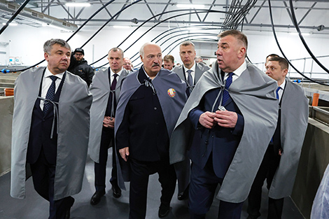 Lukashenko orders replication of Paluzh fish farm model