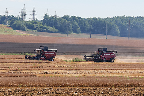 Lukashenko examines performance of Belarusian-made harvesters in challenging weather