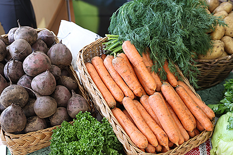 Vegetables harvest in Belarus 97% complete