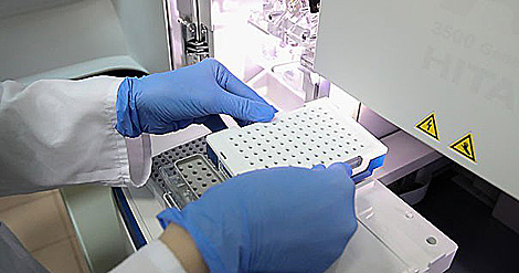 Belarus’ delegation studies animal cloning in S. Korea