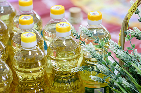 Egypt interested in dairy products, vegetable oil from Belarus