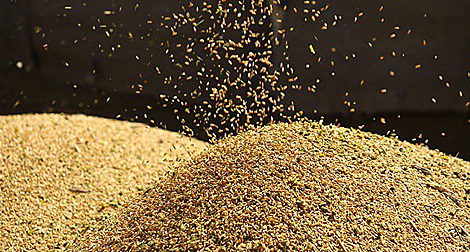 Belarus, Egypt to produce grain storage silos