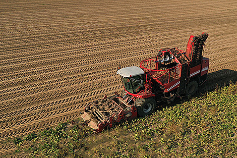 Belarus’ grain harvest exceeds 9m tonnes