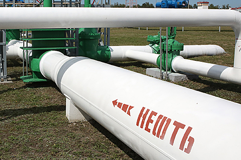 Decisions on Russian oil, natural gas deliveries to Belarus made during talks with Putin