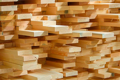 BUCE sells Belarus lumber worth $2.6m to China