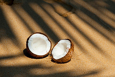 Belt and Road Initiative: China’s Hainan sends first coconut shipment to Belarus