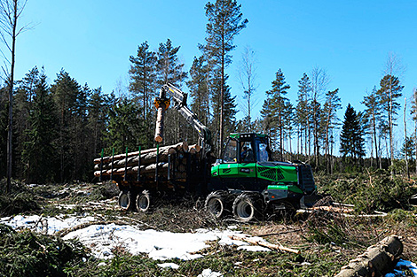 Belarusian Amkodor testing new forwarder