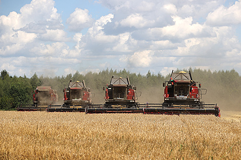 Lukashenko hears out Minsk Oblast governor’s report