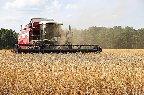 Lukashenko urges to speed up harvest campaign