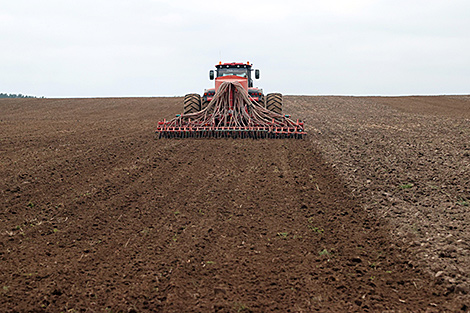 Lukashenko urges Grodno Oblast to complete planting by 1 October