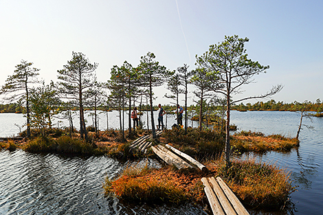 Belarus showcases its tourism potential at online expo