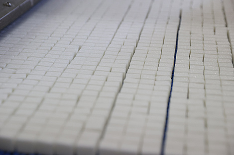 Sugar production in Belarus at historic high