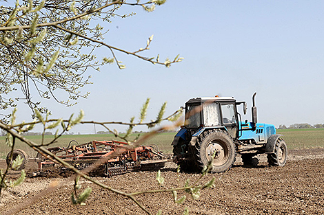 Flax planted on 55.6% of designated area in Belarus