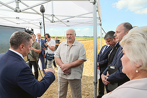 Lukashenko stresses importance of packaging technologies in agriculture