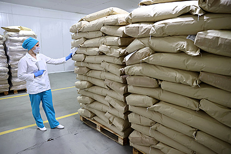 Belarus considering milk powder processing in Cuba