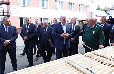 Belarus president wants program on processing all timber