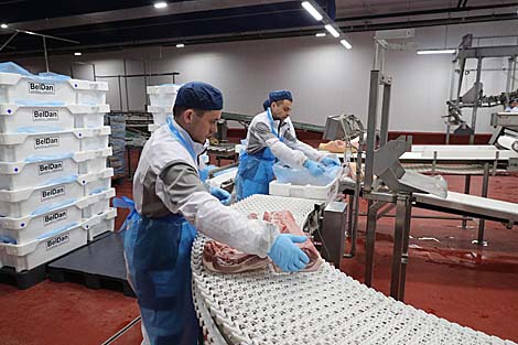 Baranovichi branch of Belarusian BelDan to export bacon to China