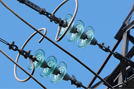 Лукашенко ждет от ученых предложений по дополнительному использованию электричества