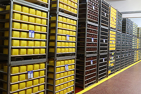 Беларусь планирует наращивать экспорт сельхозпродукции в африканский и азиатский регионы