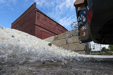 В Беларуси в 2019 году сбор ВМР увеличился на 7,1%