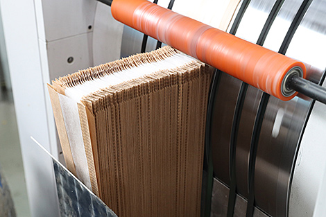 Беларусь предложила внести изменения в техрегламент ЕАЭС о безопасности упаковки