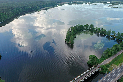 Чигиринский кластер планируют создать в Могилевской области в этом году