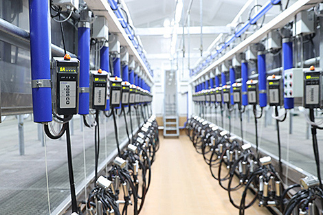 Лукашенко указал на пробелы в сельском хозяйстве и поручил устранить их в ближайший год