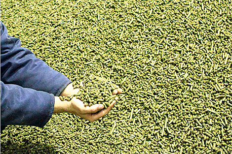 Более трети продаж сельхозпродукции через БУТБ пришлось на шрот масличных