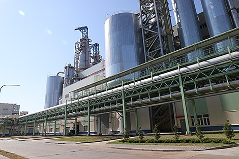 Светлогорский ЦКК увеличит выпуск сульфатной беленой целлюлозы до 290 тыс. т по итогам 2021 года