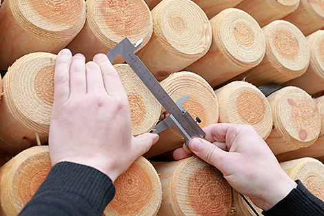 Предприятия Минлесхоза за 9 месяцев переработали более 2,5 млн куб.м деловой древесины