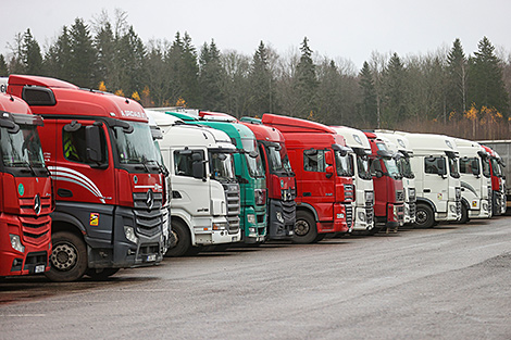 ГТК: на спецплощадках размещены более 1 тыс. оставшихся в Беларуси литовских фур