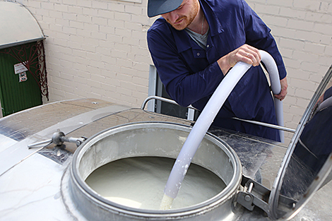 В январе-июле через БУТБ продали в 4 раза больше сырого молока, чем за весь 2019 год
