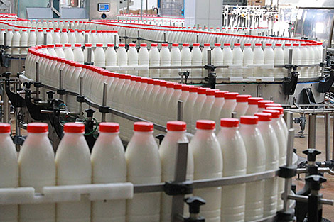 Лукашенко о формуле успеха белорусских продуктов за рубежом: качество, цена, да и люди привыкли