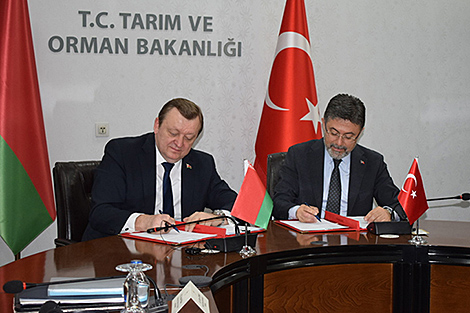 Беларусь и Турция намерены провести совместный бизнес-форум в первом квартале 2024 года