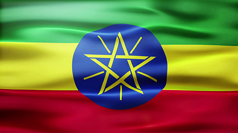 Лукашенко подтверждает интерес Беларуси к созданию совместных предприятий с Эфиопией