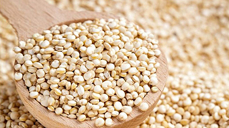 Инвестор из Новой Зеландии создаст в Витебской области комплекс по переработке киноа